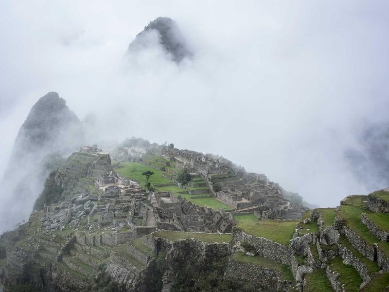 sudoku family sharing