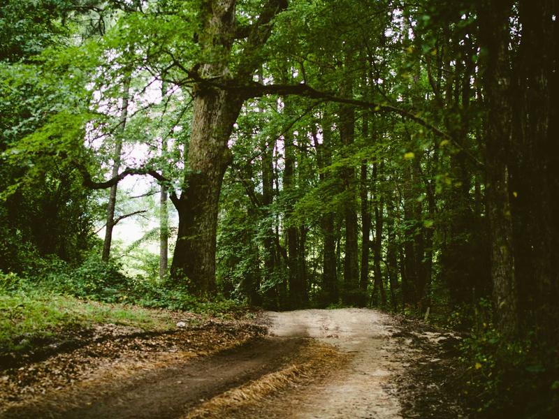 sudoku family sharing screenshot 1